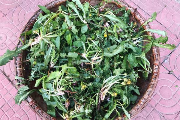 蒲公英炒鸡蛋的做法图解6