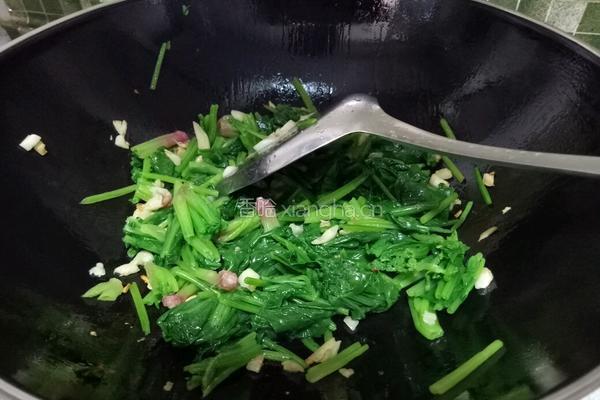 清炒菠菜的做法图解9