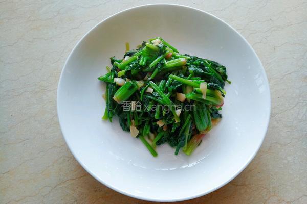 清炒菠菜的做法图解10
