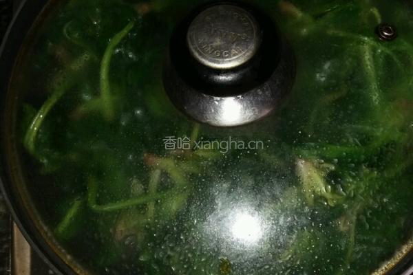 蒜蓉菠菜的做法图解4