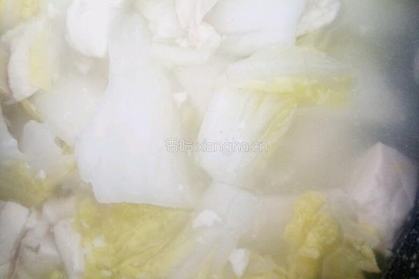 白菜豆腐汤的做法图解3
