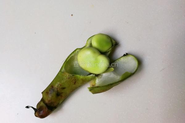 小葱蚕豆的做法图解2