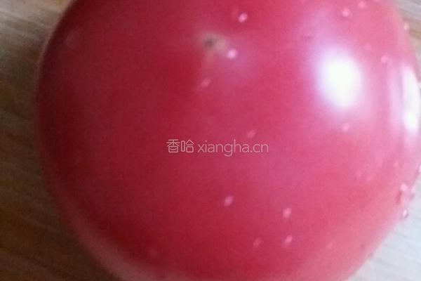 番茄金针菇牛腩汤的做法图解3