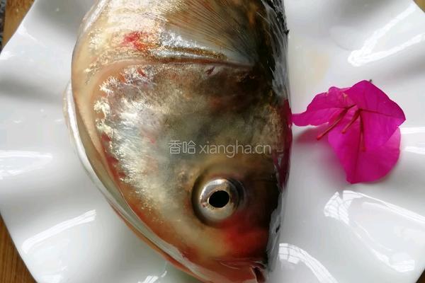 黄豆鱼头汤的做法图解1