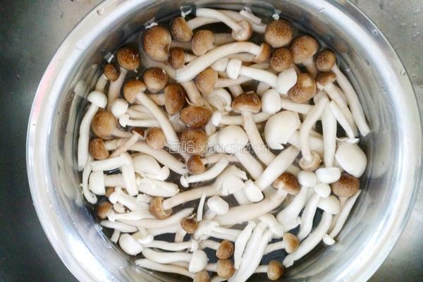 玉米面鱼丸菌汤的做法图解1