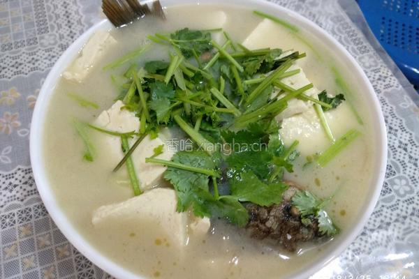 鲫鱼炖豆腐汤的做法图解14