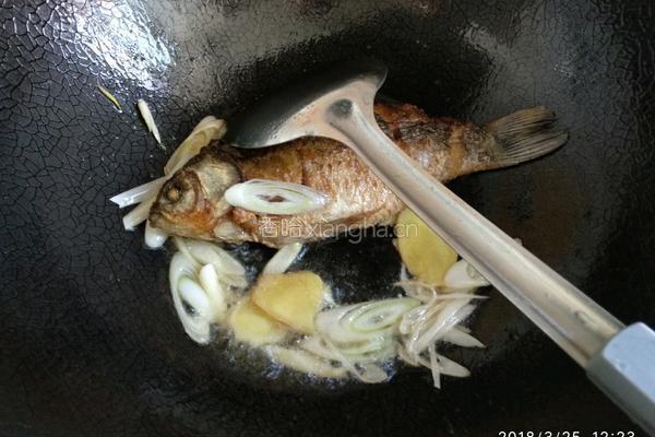 鲫鱼炖豆腐汤的做法图解5