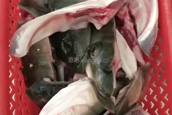 沙锅鱼头的做法图解1