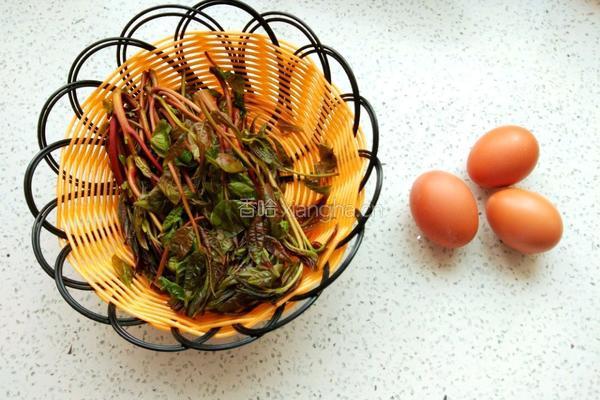 香椿炒鸡蛋的做法图解1