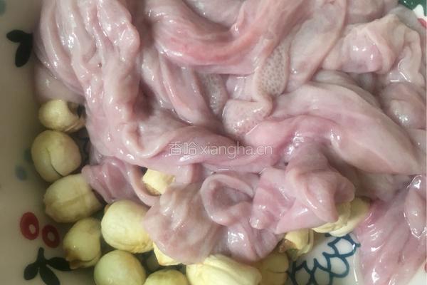 莲子小肠汤的做法图解3