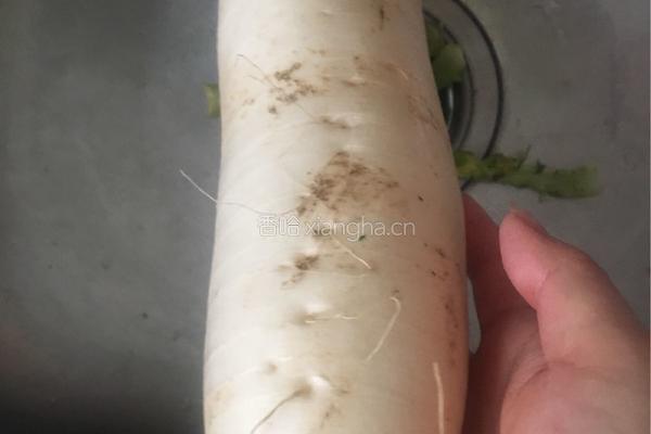 萝卜排骨汤的做法图解1