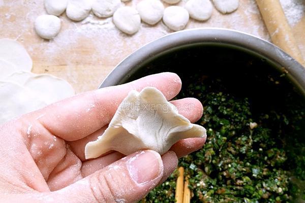 猪肉韭菜水饺的做法图解18