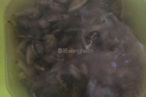 爆炒花蛤的做法图解1