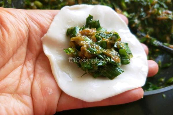 韭菜猪肉馅饺子的做法图解11
