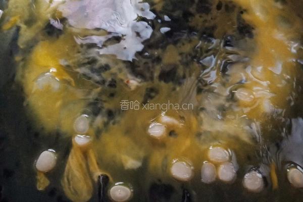 煎鸡蛋的做法图解6