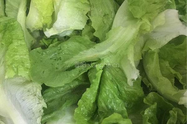 蒜蓉炒生菜的做法图解3