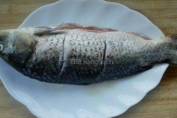 蒜爆鲤鱼的做法图解1
