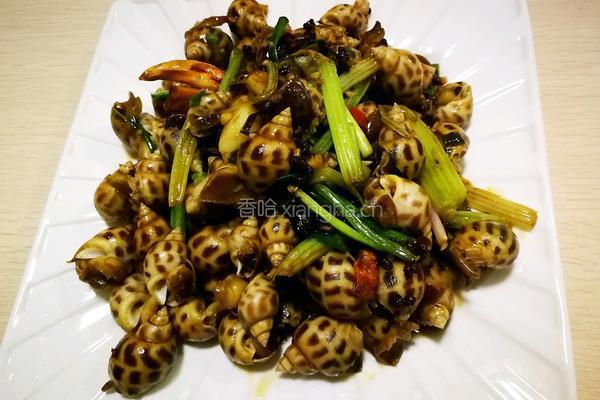 香辣花螺的做法图解10