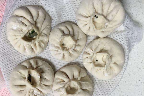 韭菜鸡蛋虾仁包子的做法图解6