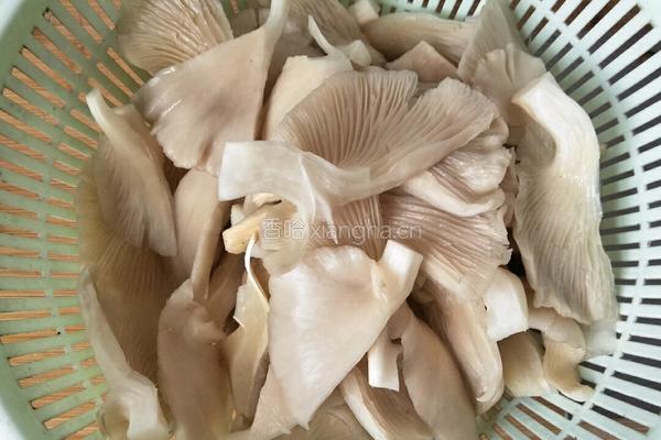 平菇炒肉的做法图解3