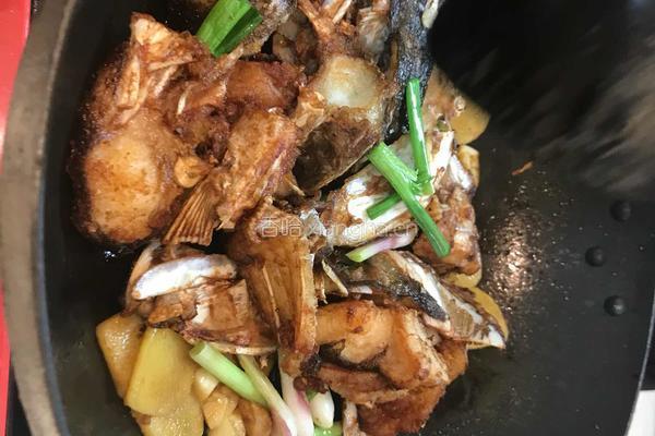 姜葱砂锅鱼头煲的做法图解4
