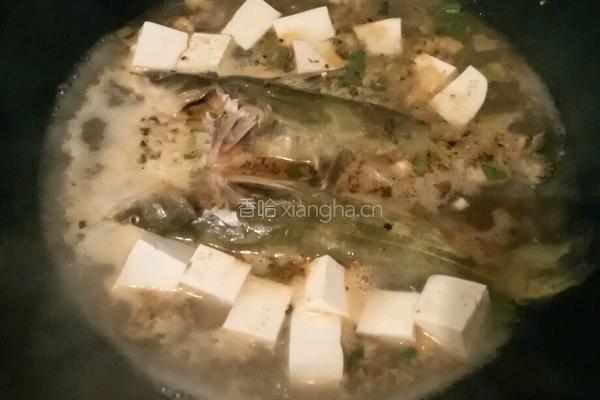 戈雅豆腐汤的做法图解7