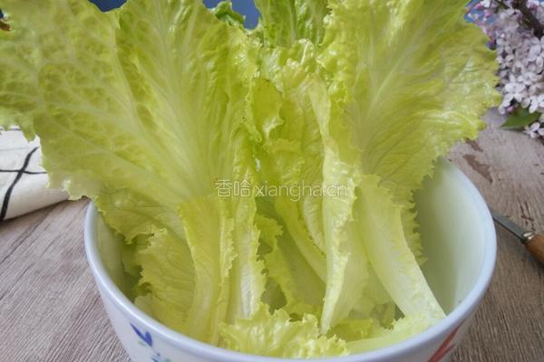 减脂瘦身蔬菜沙拉的做法图解4