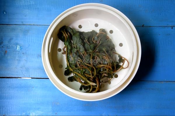 蒜蓉马齿苋的做法图解4