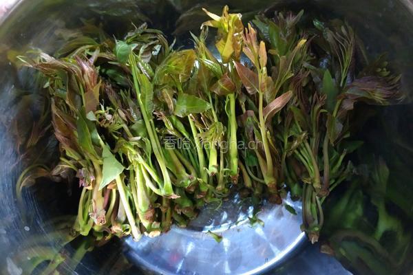 香椿炒鸡蛋的做法图解2