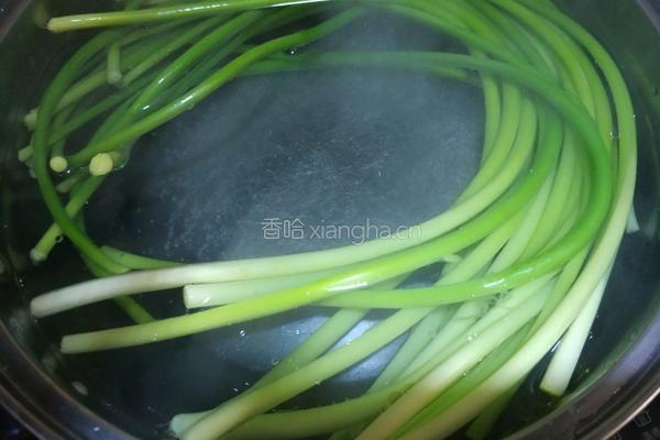 手撕蒜薹的做法图解4