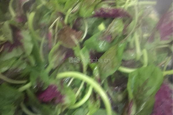皮蛋炒苋菜的做法图解6