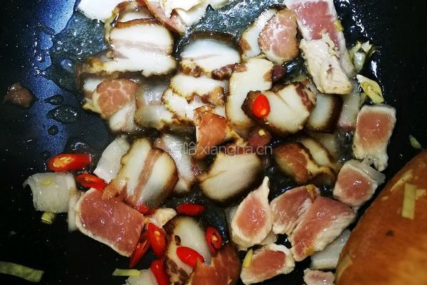 蕨菜春笋炒腊肉的做法图解5