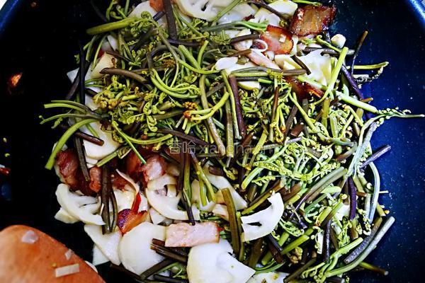 蕨菜春笋炒腊肉的做法图解8