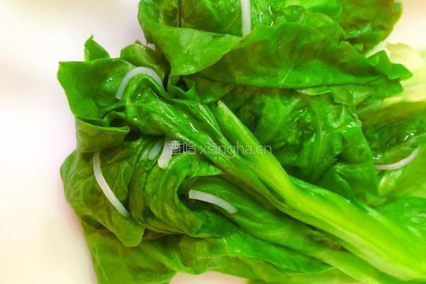 麻辣香菇酱凉拌粉丝的做法图解9