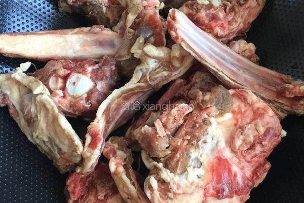 后山炖羊肉的做法图解1