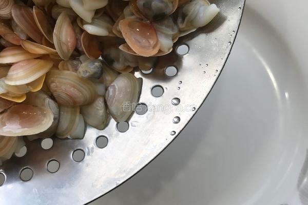 葱油海瓜子的做法图解7