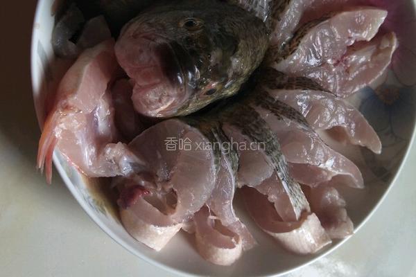 孔雀鲈鱼的做法图解1