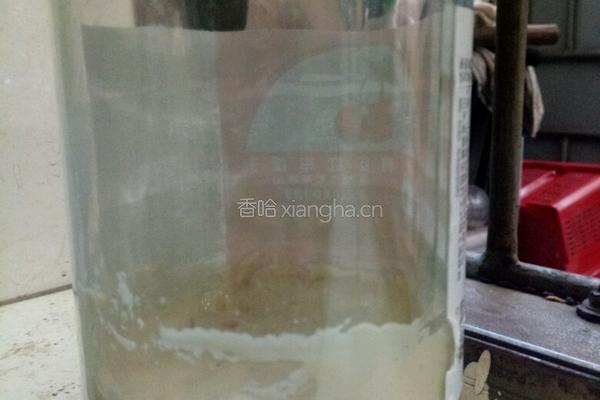 天然酵种二段的做法图解5