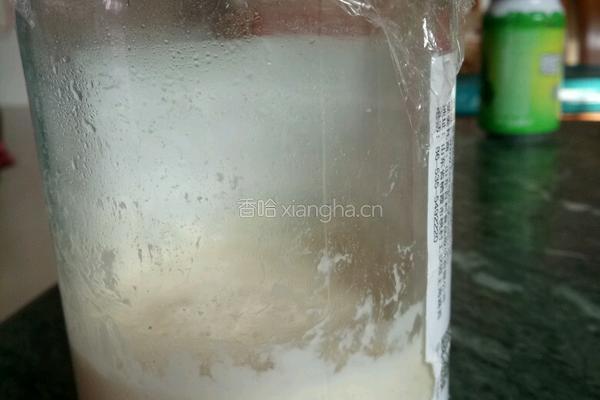 天然酵种二段的做法图解7