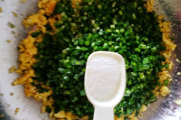 韭菜鸡蛋饺子的做法图解9
