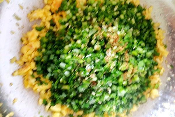韭菜鸡蛋饺子的做法图解11