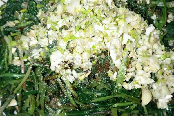 凉拌蒲公英（婆婆丁）的做法图解6