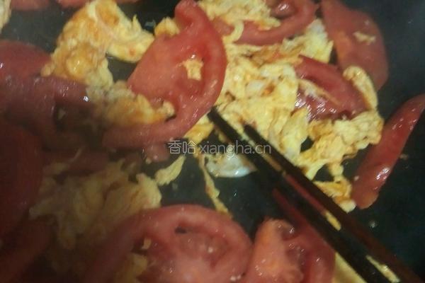 西红柿鸡蛋炒面的做法图解3