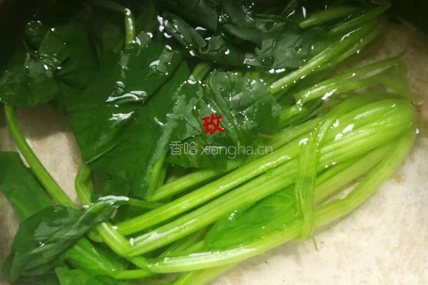 千张培根卷的做法图解3