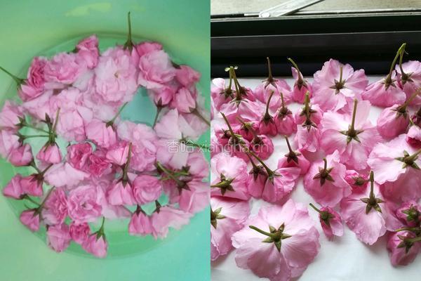 盐津樱花的做法图解1