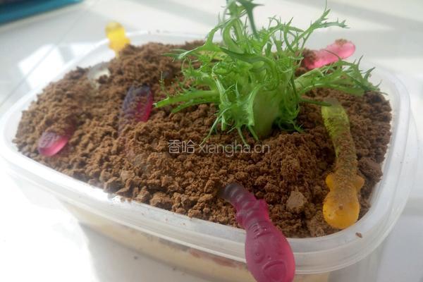 蚯蚓盒子蛋糕的做法图解7