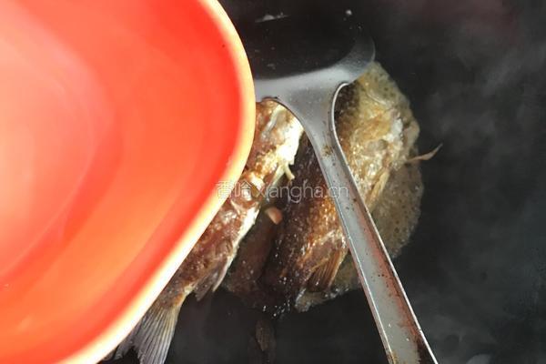 香煎鲫鱼的做法图解6