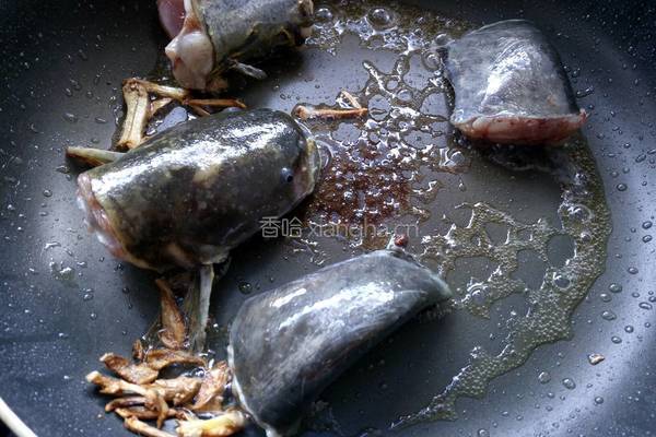鲶鱼烧豆腐的做法图解9
