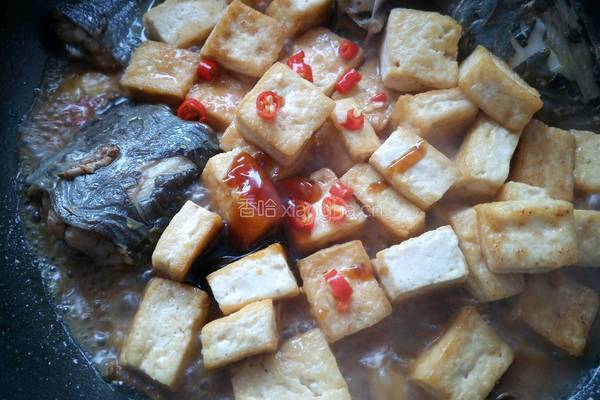 鲶鱼烧豆腐的做法图解15