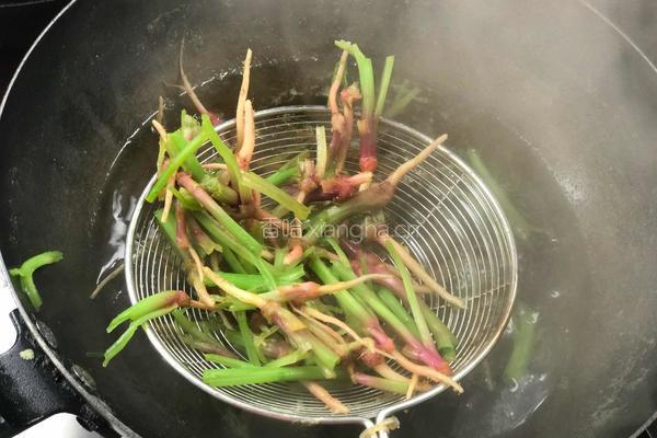 蚝油菠菜根的做法图解2